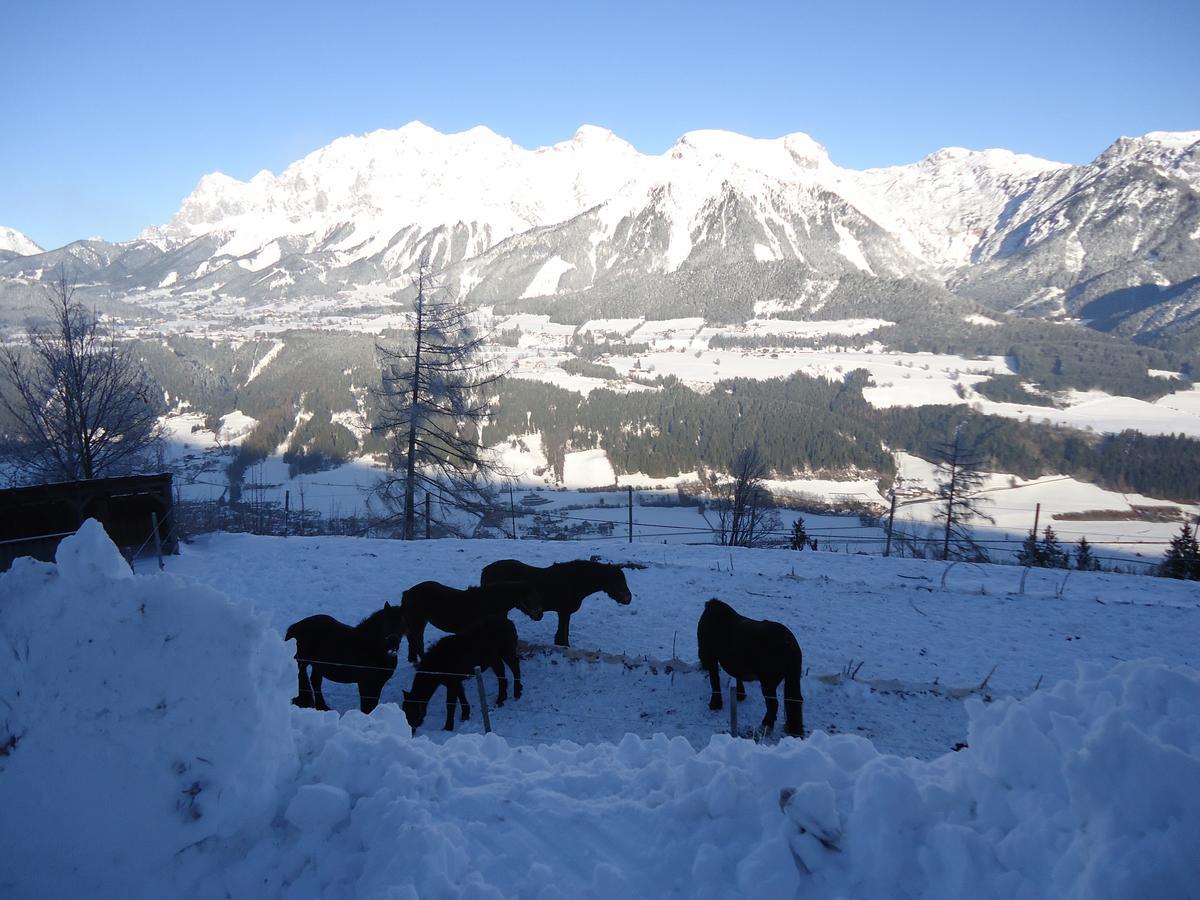 Asingerhof Schladming Exterior foto